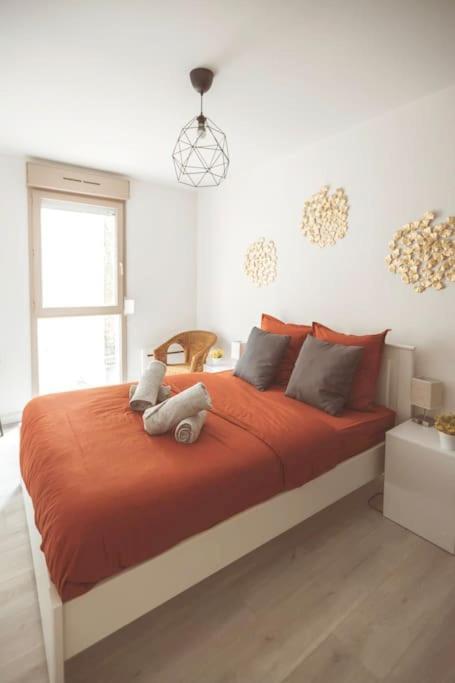 Le Cocon Manceau Apartment Le Mans Exterior foto